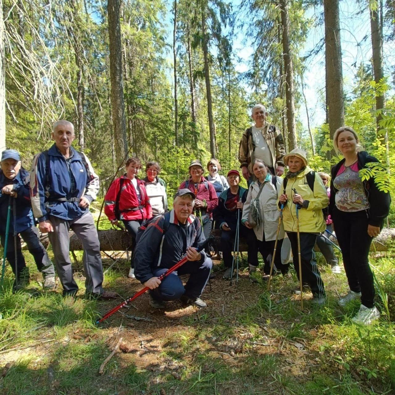 общее фото участников в лесу